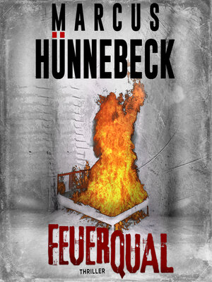 cover image of Feuerqual--Drosten und Sommer, Band 22 (ungekürzt)